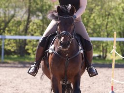 IMG_1756_web